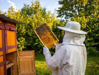 TikTok príbeh ako z