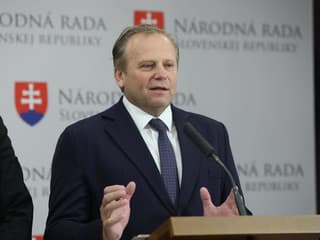 Vladimír Ledecký 