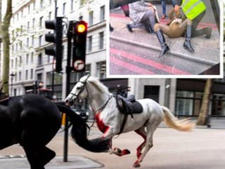 Splašené a zakrvavené kone sa preháňali centrom Londýna