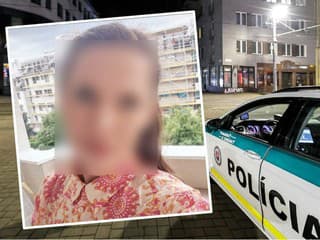 DESIVÁ ZÁHADA Dominiku (33)