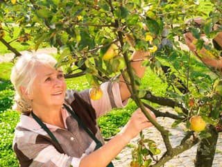 Využite priestor v záhrade