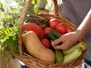 Vlastná úroda stojí čas,