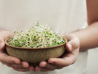 Podporuje trávenie, bojuje s