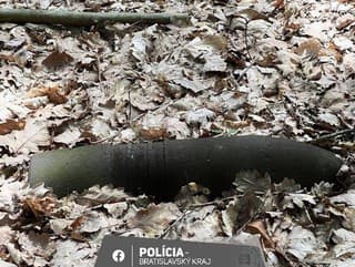 Vo vojenskom obvode Záhorie našiel okoloidúci občan šesť kusov munície