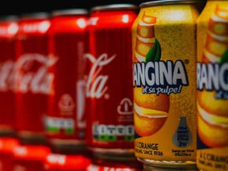 Slováci menia názor: Po