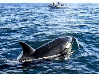 V okolí Pyrenejského polostrova