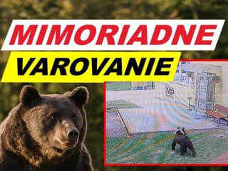 FOTO VAROVANIE MESTA Medveď