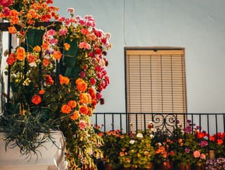 VIDEOTIP Najlacnejšia kvapková závlaha