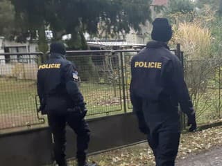 Ohavný prípad v Česku: Muža hodiny mučili, po vražde obeť uvarili a kosti spálili! Dnes si vypočuli trest