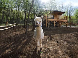 Skvelý tip na výlet: