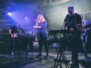 Veneer na Pink Whale,