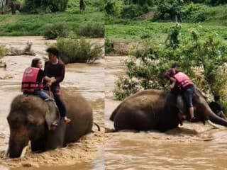 Skupinu turistov v Číne zachránil počas záplav slon Valentine