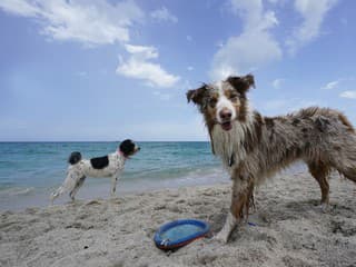 Chcete ísť na dovolenku