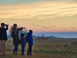 Maďarsko je domovom tristo