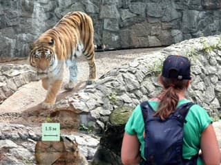 VIDEO Návšteva zoo mohla