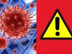 V domácnostiach sa vyskytuje