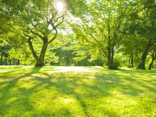 V Stropkove sprístupnili park