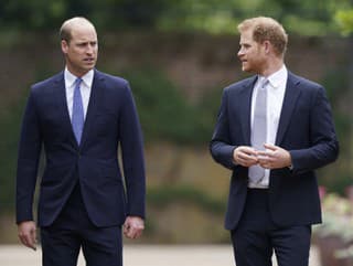 Harry a William sa