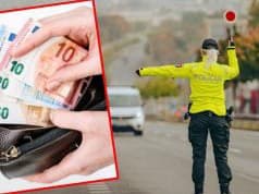 TOTO bude nový BIČ