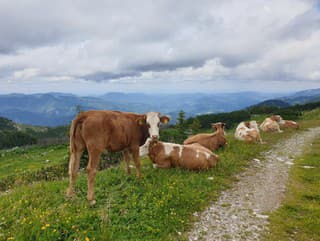 Mladá žena si fotila