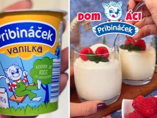 Recept na domáci pribináčik