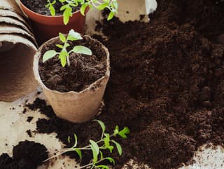 Blíži sa koniec rašeliny