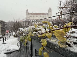 Sneh pokryl celú Bratislavu