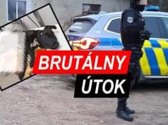 FOTO BRUTÁLNY ÚTOK Sused