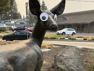 Mesto trápi bizarný trend: