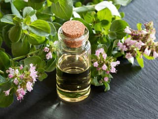 Poznáte olej z TEJTO