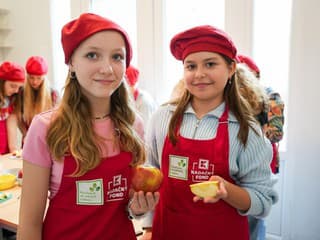 Na slovenské školy sa