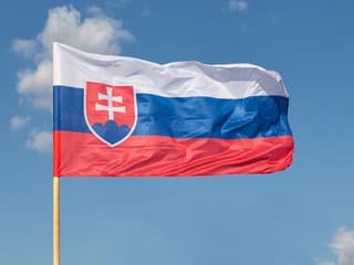 Slovenská republika má 32