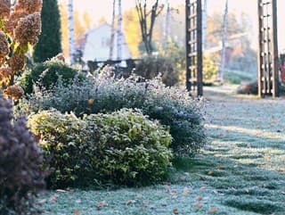 Január so založenými rukami?