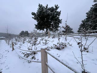 Meteorológovia varujú: Zima a