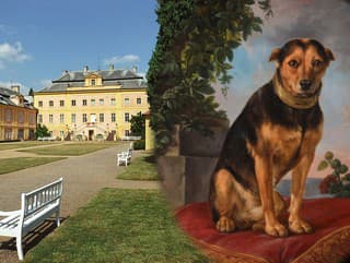 V Čechách sú stovky