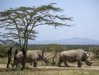 Posledná šanca: Na svete