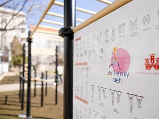 Trinásty ročník dm ženského