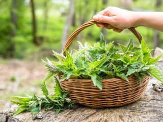 Zdravé vlasy, pokožka, trávenie,