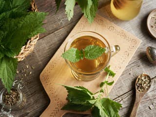 Kedy piť žihľavový čaj?