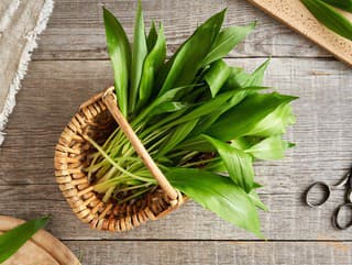 Nazbierali ste plný košík