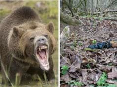 FOTO Šokujúce, čo našli