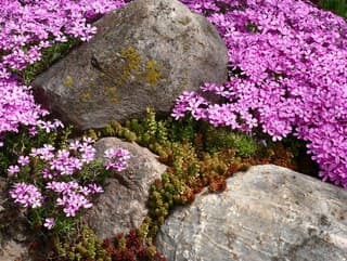 Bojujete s burinou v