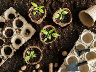 VIDEOTIP Čo robiť, keď