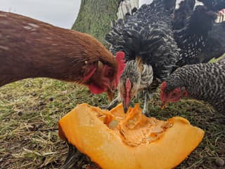 6 jednoduchých trikov, ako