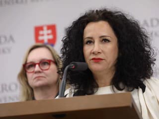 Progresívne Slovensko podáva pre