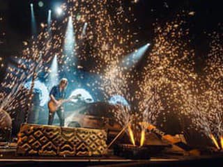 Traktor - Jungle 2025