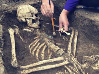 Desivý nález v Japonsku: