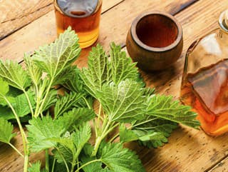 Domáci žihľavový sirup: RECEPT