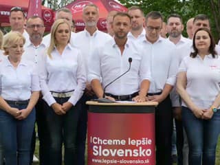 Tlačová konferencia vládnej strany