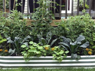 Rastliny nemusíte zalievať každý